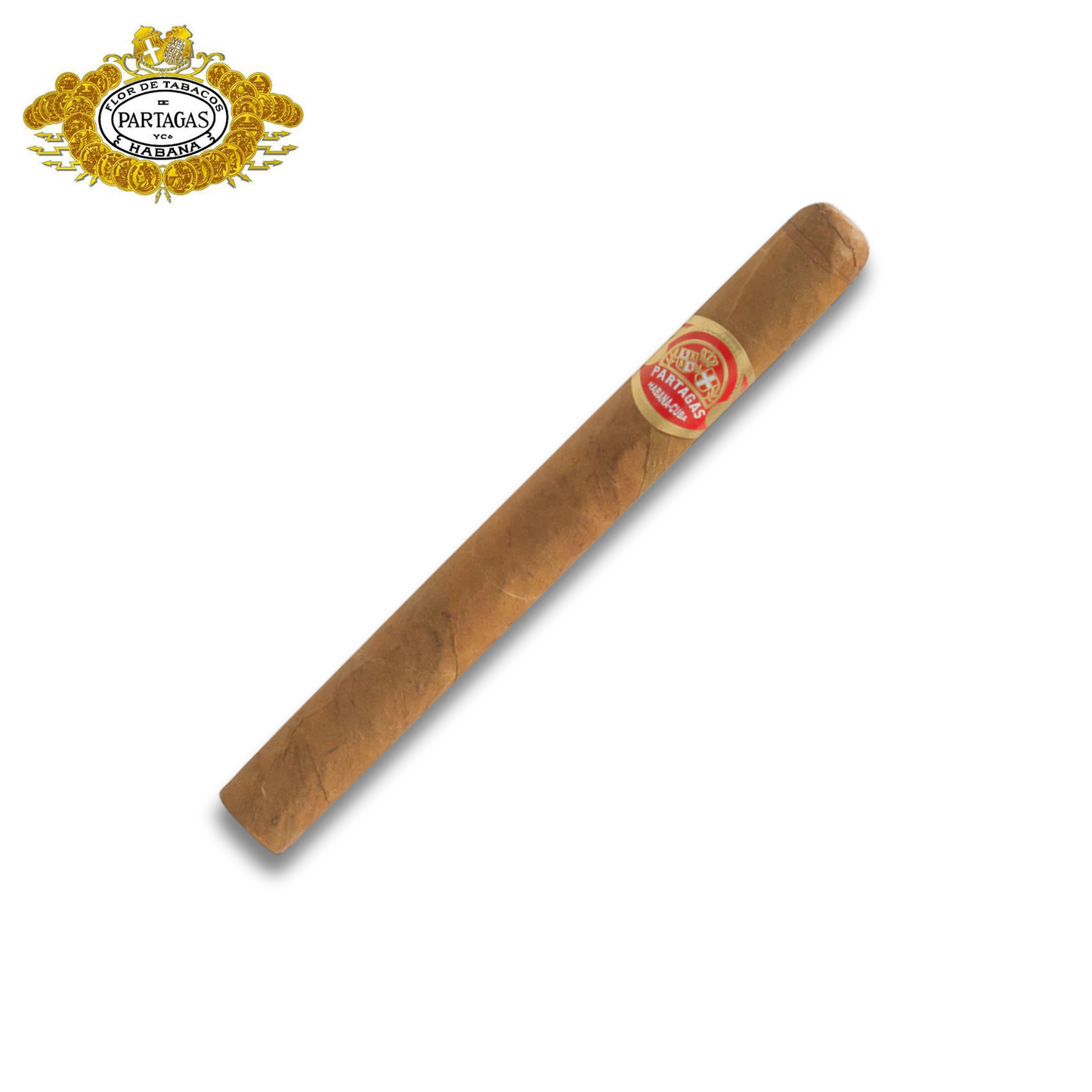 帕特加斯 超級帕特加斯