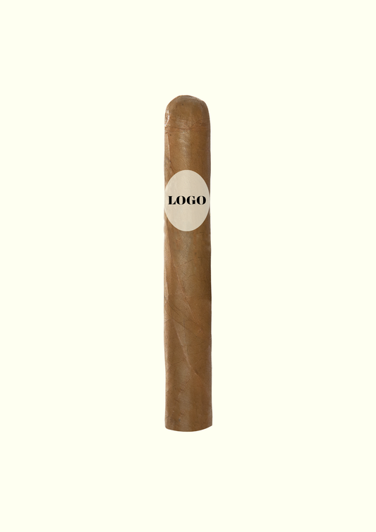 PL CKC1028K Robusto