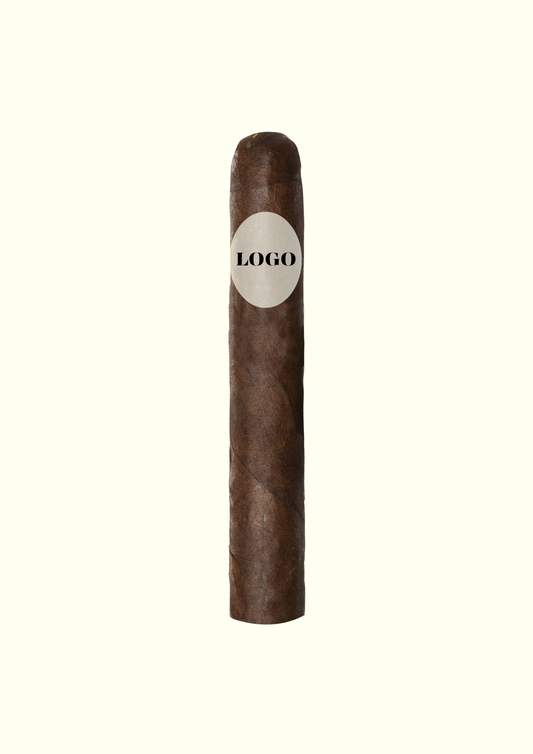 PL CKC1052B Robusto