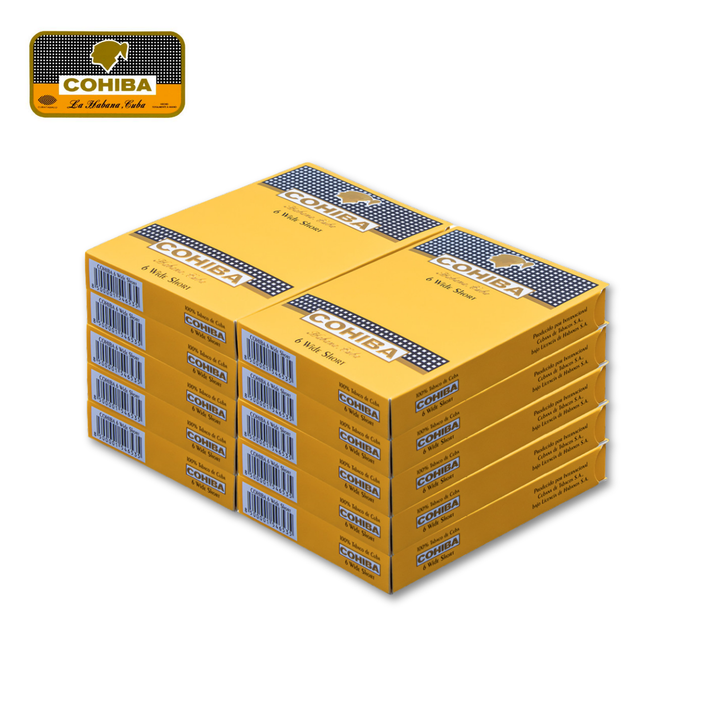 Cohiba Wide Shorts 6