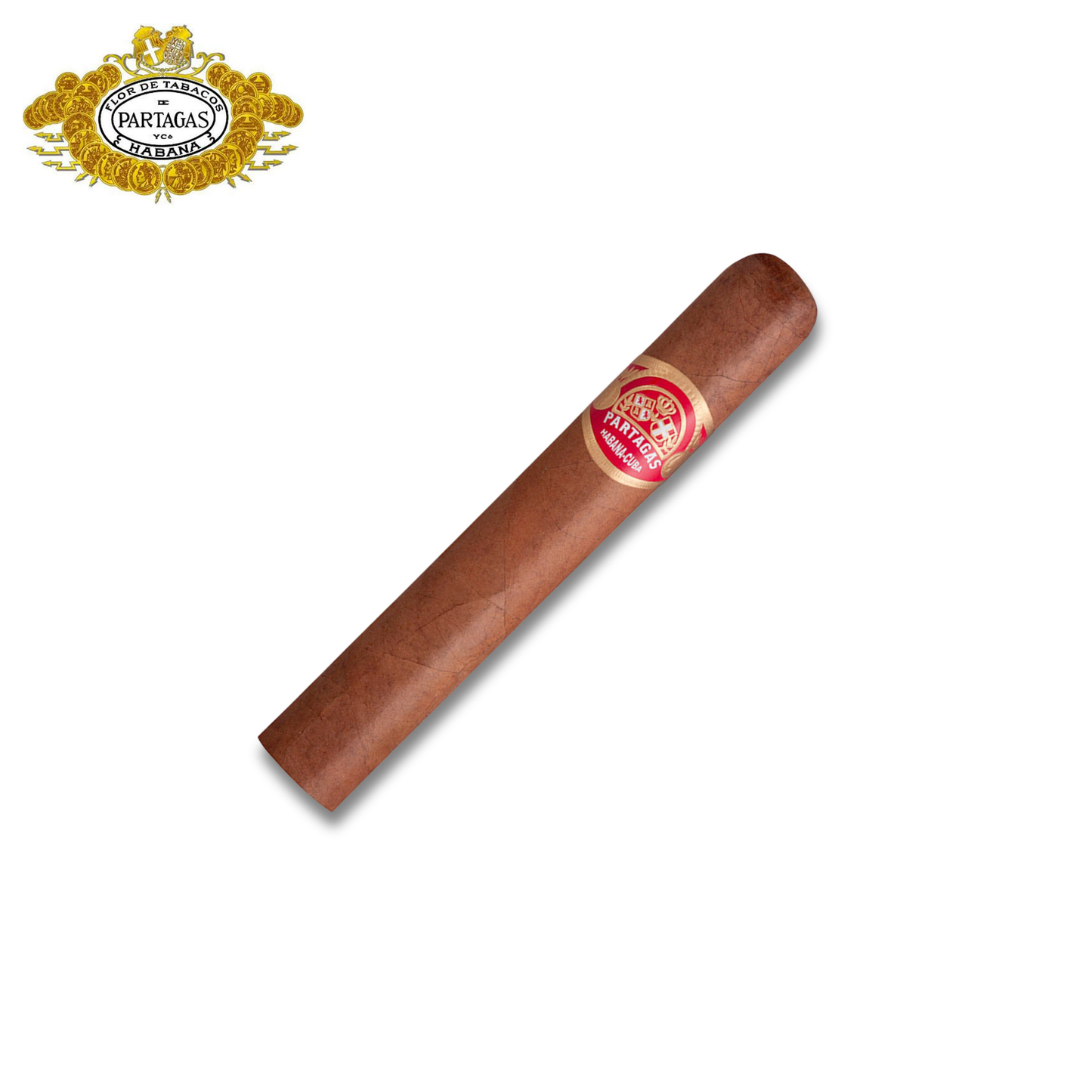 Partagas Shorts