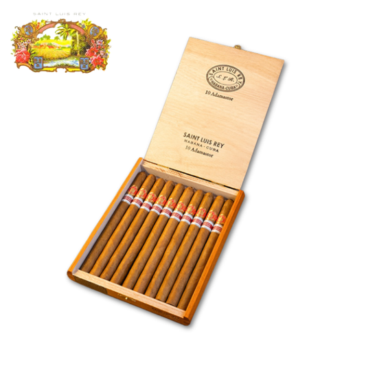 Saint Luis Rey Adamastor 2023