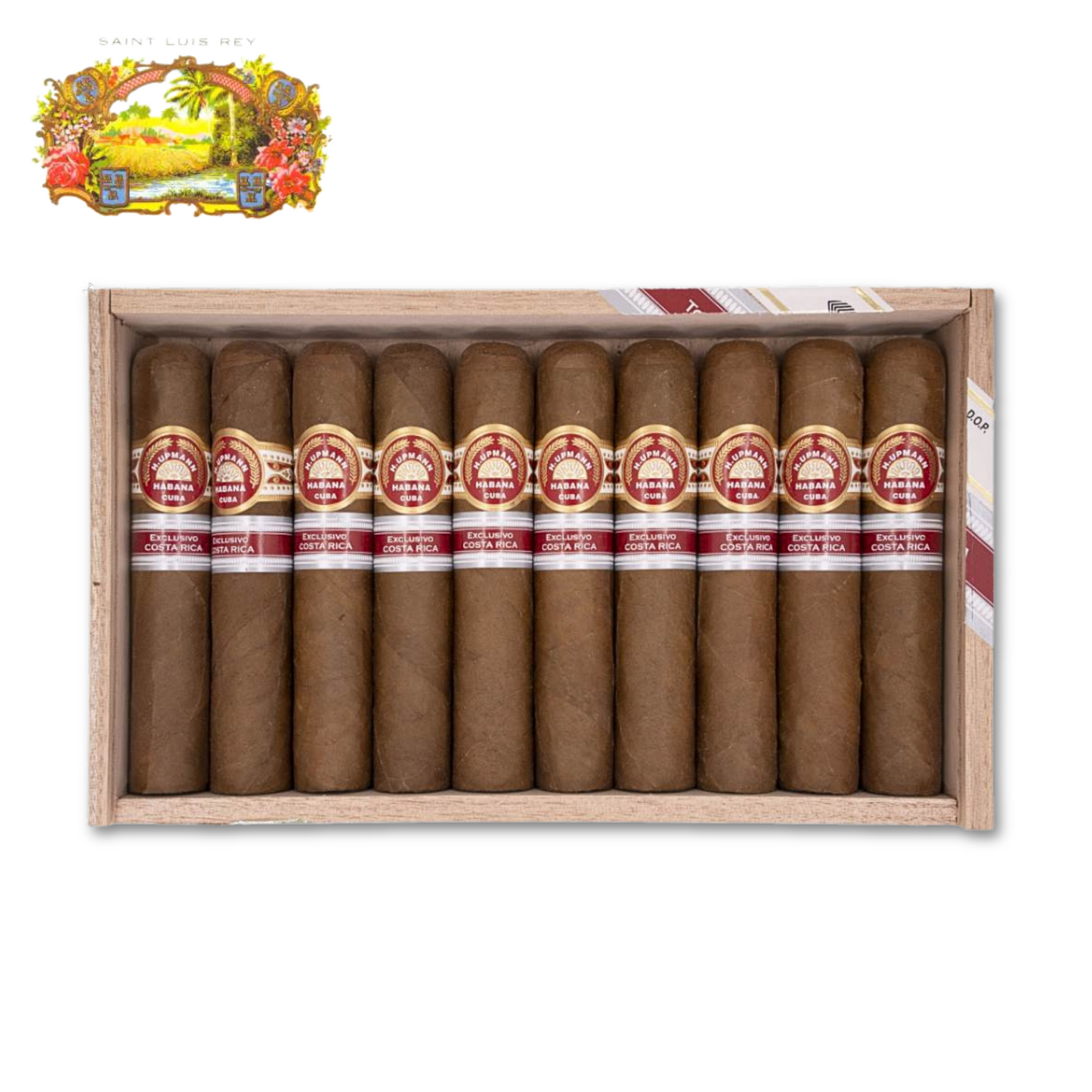 Saint Luis Rey Pura Vida