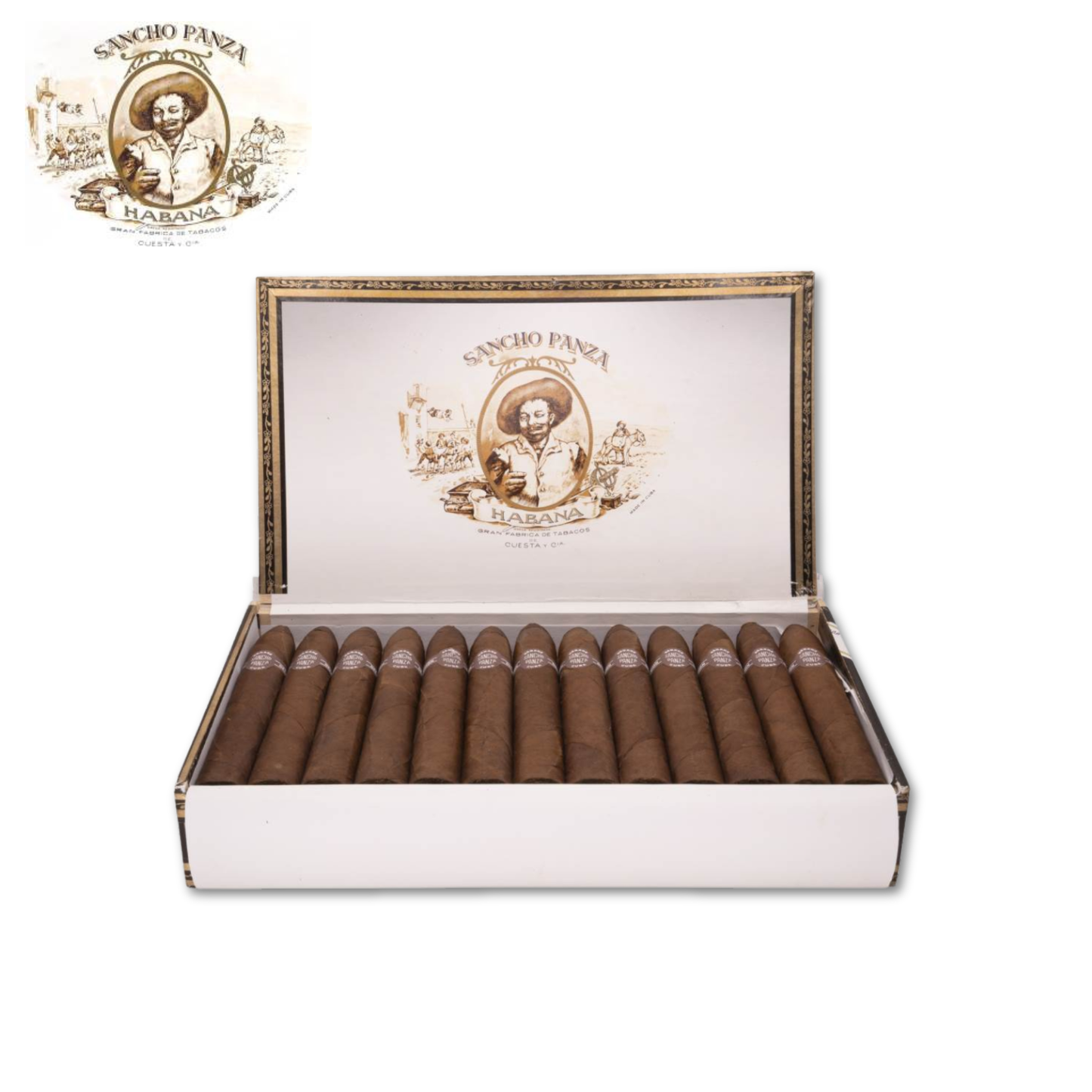 Sancho Panza Belicosos